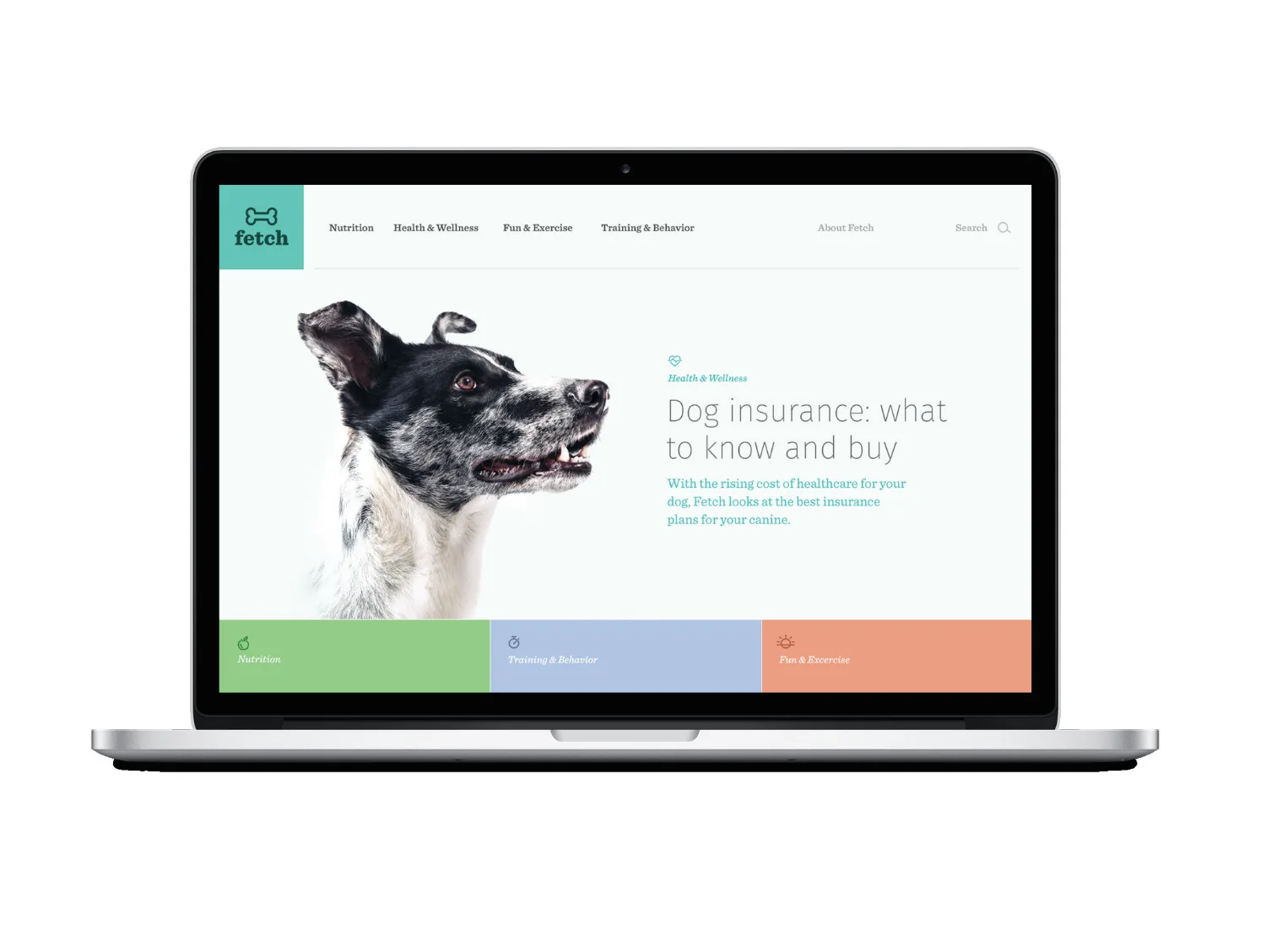 Chewy Fetch · sub-brand